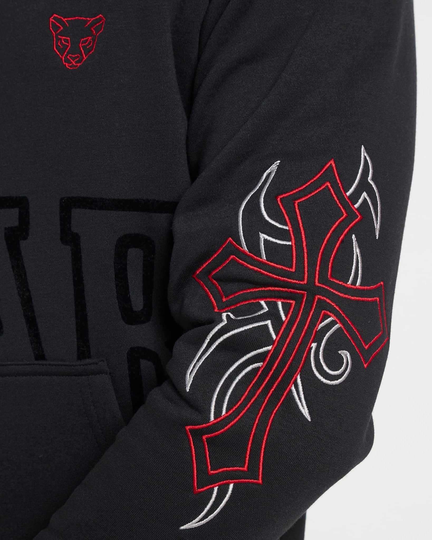 Freedom in Christ Hoodie